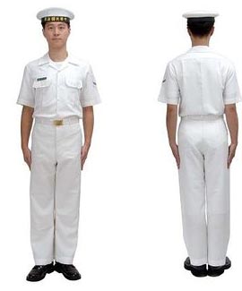 海軍丙式