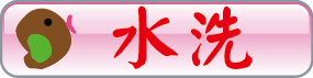水洗